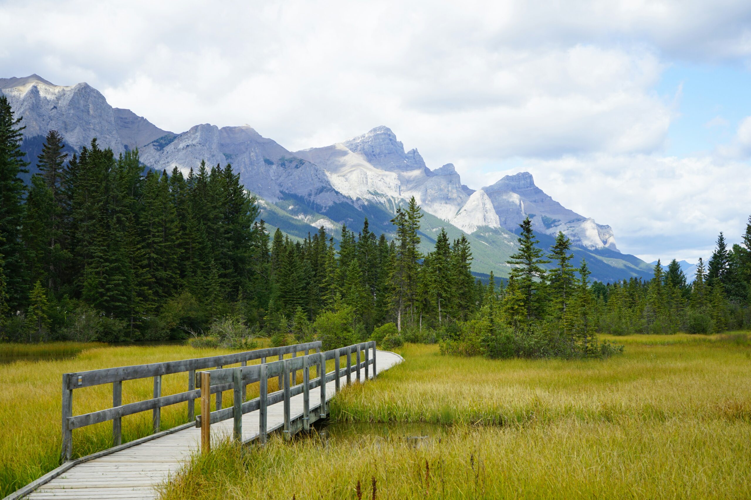 Bow River & Policemen’s Creek Trail